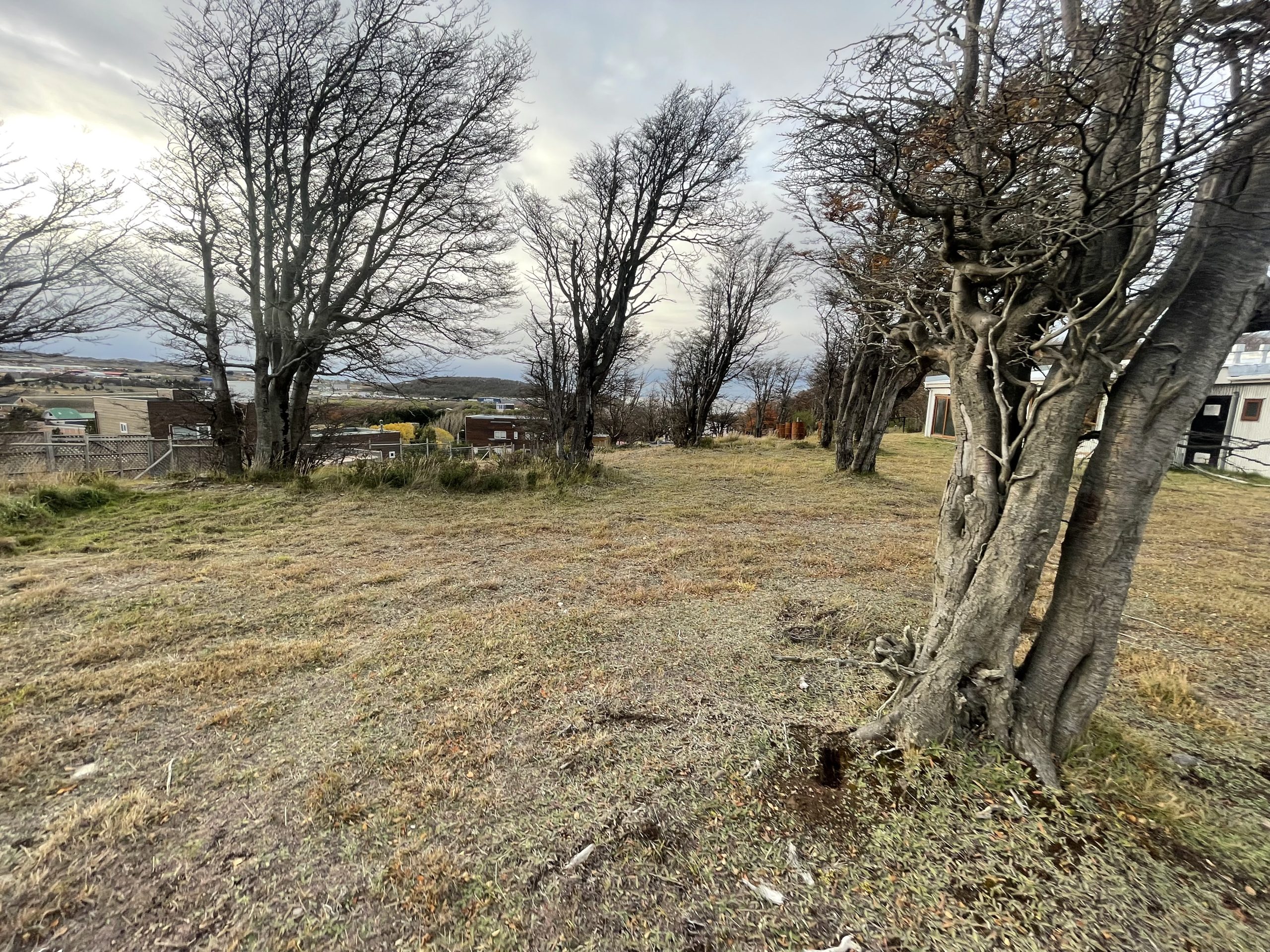 BLESSEN12