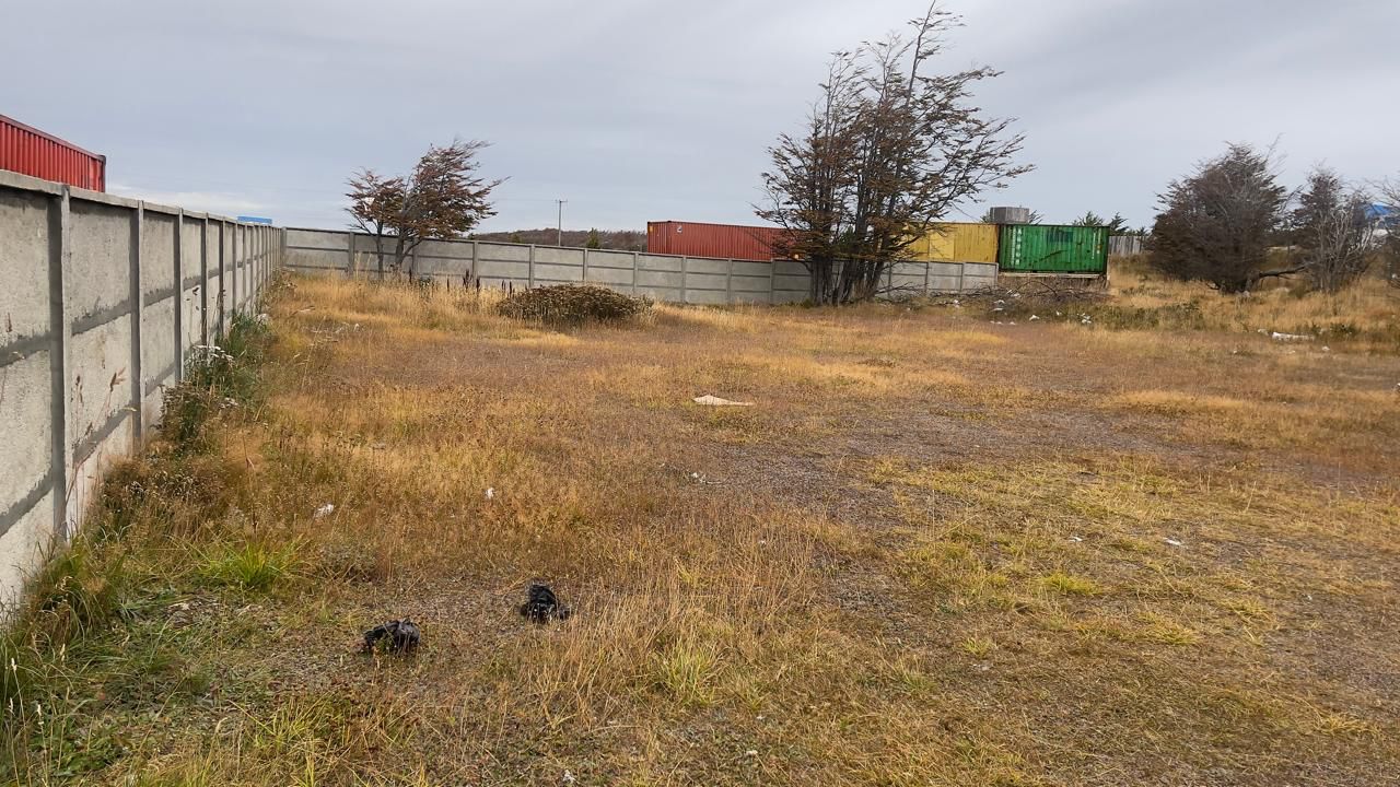 sitio 1000mt4